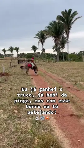 Aooo Pesadelo véi louco!🐰💥.                #burrobrabo #foryoupage #fyp #foryoupage #agrogirl 