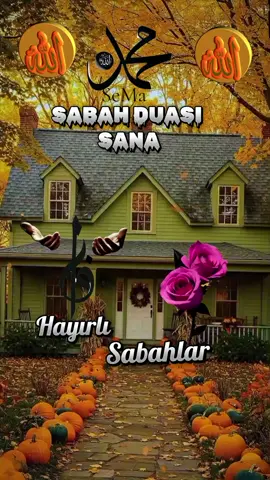 🤲🌼🤲🌼#nadire31 
