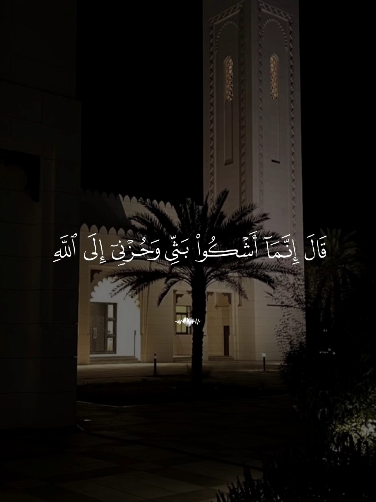 #قران #quran #قران_كريم #quran_alkarim #القران_الكريم 