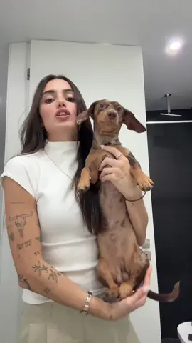 holi 🤎