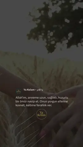 Allah’ım, anneme uzun, sağlıklı, huzurlu bir ömür nasip et. Onun yorgun ellerine kuvvet, kalbine ferahlık ver.