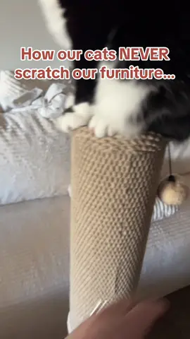 Get this if you want a tall and sturdy huge cat scratching post…. Your cats won’t scratch your couch 😄 #catscratchingpost #cats #scratchingpost #catscratcher #tiktokshopcreatorpicks 