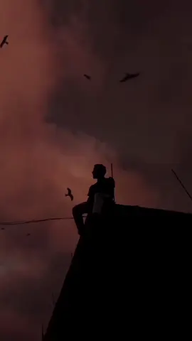 القير الكريم 😍😍😍🥹🥹#الشعب_الصيني_ماله_حل😂😂 #ليبيا_طرابلس_مصر_تونس_المغرب_الخليج 