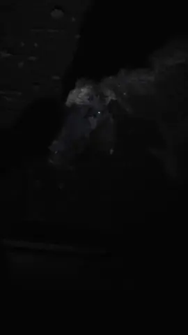 #قعدلك_نا_من_غير_اكرا 