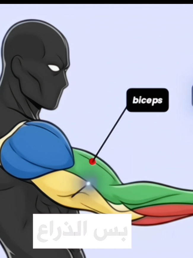 ذراعك ضعيفة ؟ الحال السريع با الكاليستينكس! #تقوية  #تمارين_ذراع #كاليثنكس #رياضة #جيم 