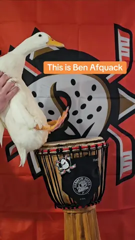 Anaheim Ducks 🤝 Ben Afquack. Ducks fly together #anaheimducks #NHL #ducks 