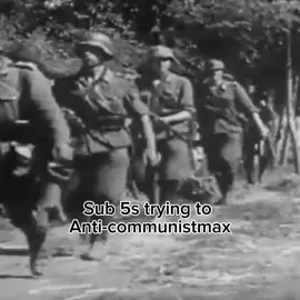 Lazy post #czech #gajda #anticommunist #legion #History ⚠️EDUCATIONAL PURPOSED ONLY NO HATE⚠️