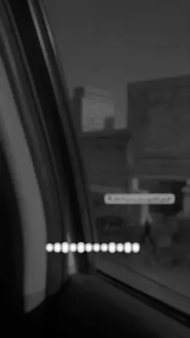 #وادي_السلام #نجف #لايك #هشتاقاتي_الترند_المشهور #متوفي_ولازلت_على_قيد_الحياه 