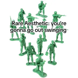 boi this is so tuff  memes are doomed😭 #SanayaPlayz #niche #meme #chickenstars #fyp 