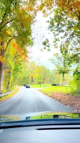 🍎 I wanted to give you my review on Butler's Orchard! 💰 The Pumpkin Festival (where the food, games and rides are) is $20 at the door or $18 online. This will get you access to the Pick-Your-Own Pumpkin Patch as well. The Pick Your Own and Pumpkin Festival are a short drive from each other! You aren't allowed to walk (holds up car traffic) but it isn't more than a 2 minute drive down a gravel road. 🧑‍🤝‍🧑🧑‍🤝‍🧑🧑‍🤝‍🧑🧑‍🤝‍🧑 First off, it was packed, but they really had a ton of things for people to do so everything moved fast. From the food lines to the hay rides, this place has lines down to a science and no one seems bored or tired of standing. 🐴 The Pumpkin Festival had sooooo many things for kids to do. From pony rides to feeding goats to hay rides to a corn maze- this Orchard really does have it all. There was tons of seating for folks just wanting to relax and let kids play plus some great live music! 🏃 There is a bounce pad where a ton of kids were running off a ton of energy, plus they had a playground so if your kid got bored of that, you could move them right along to another energy drainer! 🥨 The food was great! The main food shack had awesome options like chicken tenders for kids and pulled pork for meat-lovers. They had sweets there and accepted credit cards and cash! I've included their menu in the photos below. 🐷 There's another food pavilion which has BBQ and Ice Cream but they only accept cash- there is an ATM in the Pumpkin Festival so you're in luck! 🍿 They had a fresh-made kettle corn barn with apple cider donuts that smelled aaaaamazing. 🚽 They had port-a-potties throughout and a mother's nursing barn lookin' thing for baby changes too. 🌽 They had corn mazes for little ones and for adults- my teenage son loved the big one! Took us roughly 20 minutes to get through it together. 📍 Location: 22222 Davis Mill Rd., Germantown, MD, 20876 US #woodbridgevirginia #mixingbowlcookieco #novafoodie #dmveats #pumpkinpatch 