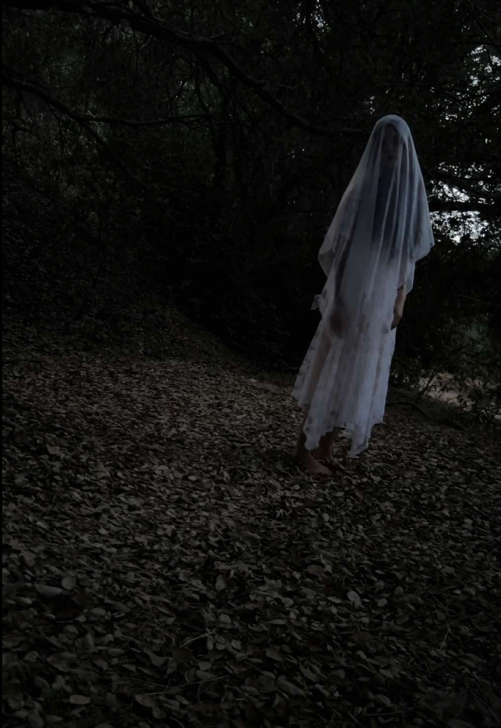 a song for our rage 🕊️ bones of ours #witchtok #doommetal #doomgaze #newmusic #forthegirls 