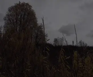 fall
