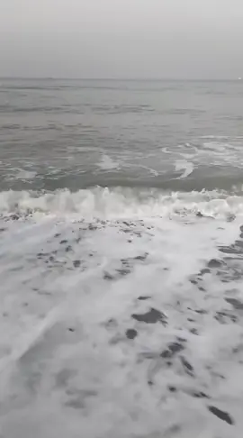 #محمود_الجبلي #تونس🇹🇳_الجزائر🇩🇿 #tiktokarab #مشاهدات #EmClimaUltraLeve 