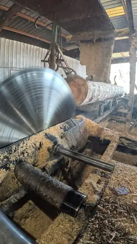 Cutting a big 26-foot Southern Pine log on my sawmill using a 66-inch solid-tooth circular saw powered by a 300-horsepower electric motor. Watch this beast chew through timber like butter — nothing beats the sound of old-school power and precision sawmilling! ⚙️🌲  #SawmillLife #SouthernYellowPine #BigLogCut #WoodworkingCommunity #TimberPower