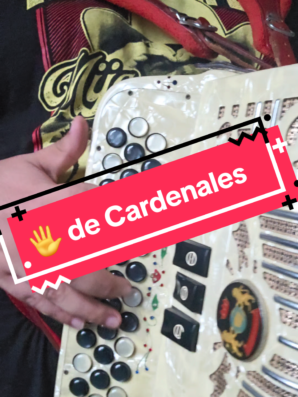 5 éxitos de Cardenales de Nuevo León 🤠🫡 . . #cardenalesdenuevoleón #gabbanelli  #loscardenalesdenuevoleon #acordeon #monterrey 