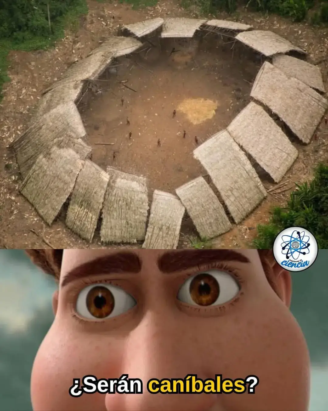 Desde las alturas de la selva amazónica, el fotógrafo Guilherme Gnipper Trevisan captó este impresionante yano yanomami, una vivienda comunal circular construida por el grupo Moxihatetea, uno de los pueblos aislados más protegidos del planeta. 🛖 Aquí, en pleno corazón de la jungla, viven familias que jamás han tenido contacto directo con el mundo exterior. Su hogar (hecho de palma, madera y tierra) forma un círculo perfecto que simboliza la unión de la comunidad con la naturaleza. 🌎 Estas imágenes fueron obtenidas con extremo cuidado por la FUNAI (Fundación Nacional del Indio) y la organización Hutukara Yanomami, sin acercarse al grupo, para documentar su existencia y exigir protección frente a la minería ilegal y la deforestación. ⚠️ ✨ Un recordatorio poderoso: aún existen pueblos que resisten al ruido del mundo moderno… y su simple existencia es un tesoro que merece ser defendido.