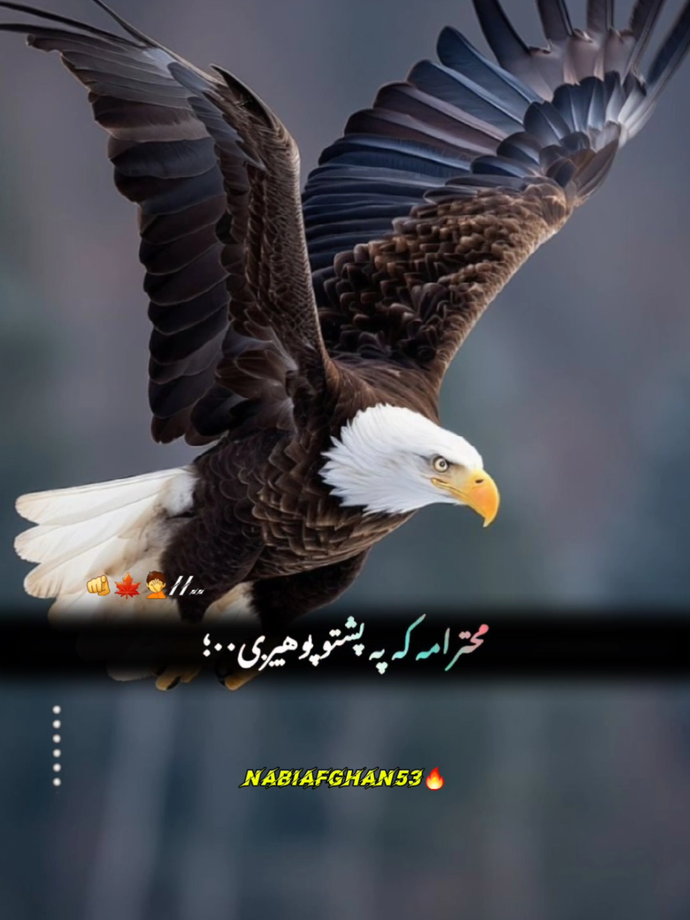 #CapCut محترامه که په پشتو پوهیږی#foryou #foryoupage #viralvedio #growmyaccount  creatorsearchinsights