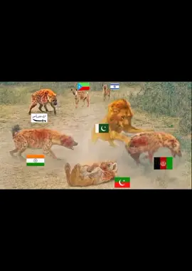 # bataen ismein se sabse bada Namak haram kaun hai vaise to Sabhi Hain Jinka Ilaaj kar rahe hain video for u Milkar Nara lagao Pakistan jindabad video
