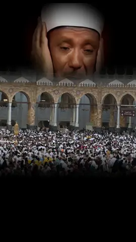 #creatorsearchinsights #قران_كريم #عبد_الباسط_عبد_الصمد @آيات  من القرآن الكريم🤲 