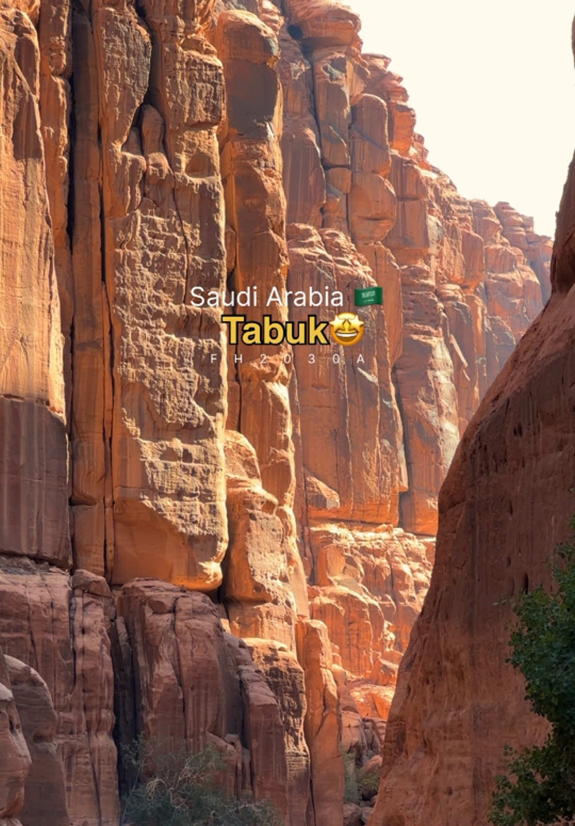وادي #المكون شمال غرب #تبوك 🤩🤩 #اكسبلور_explore  #viraltiktok  #السعودية  