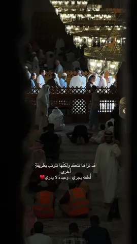 الشيخ ماهر المعيقلي#تصويري #مسجد قباء#