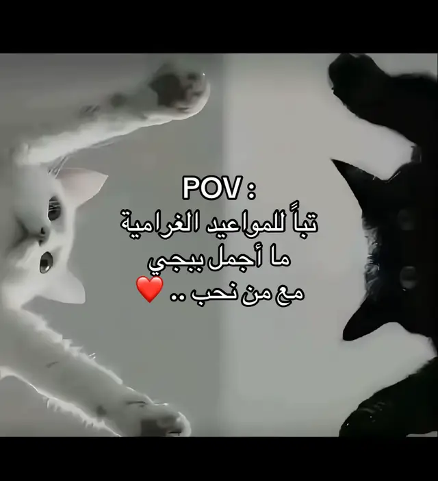#هأأدي #ببجي_موبايل #مواهب_ببجي_موبايل_العربية #pubgmobile 