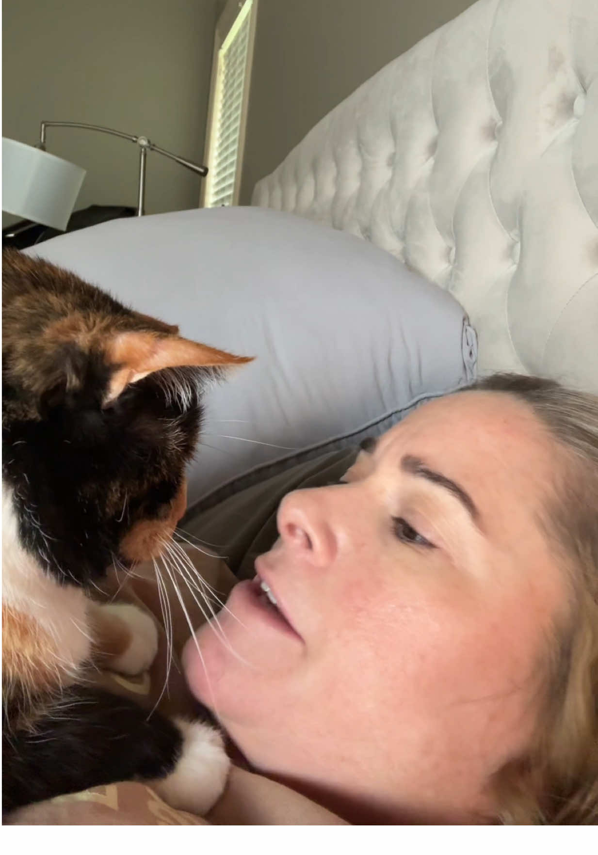 Reassuring my other cat Tudie that her sister Tim is at the vet and is waiting on an ultrasound…  Lov ya all for the advice and support!  #sickcat #update #cats #cattok 