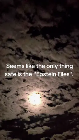 #epstein #trump #politics #fyp 