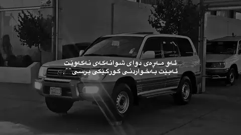 گورگێکی برسی🖤#fyp #foryou #foryoupage #هاوە_خۆشناو #shaqlawa 
