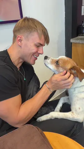 Mans best friend 🐶 