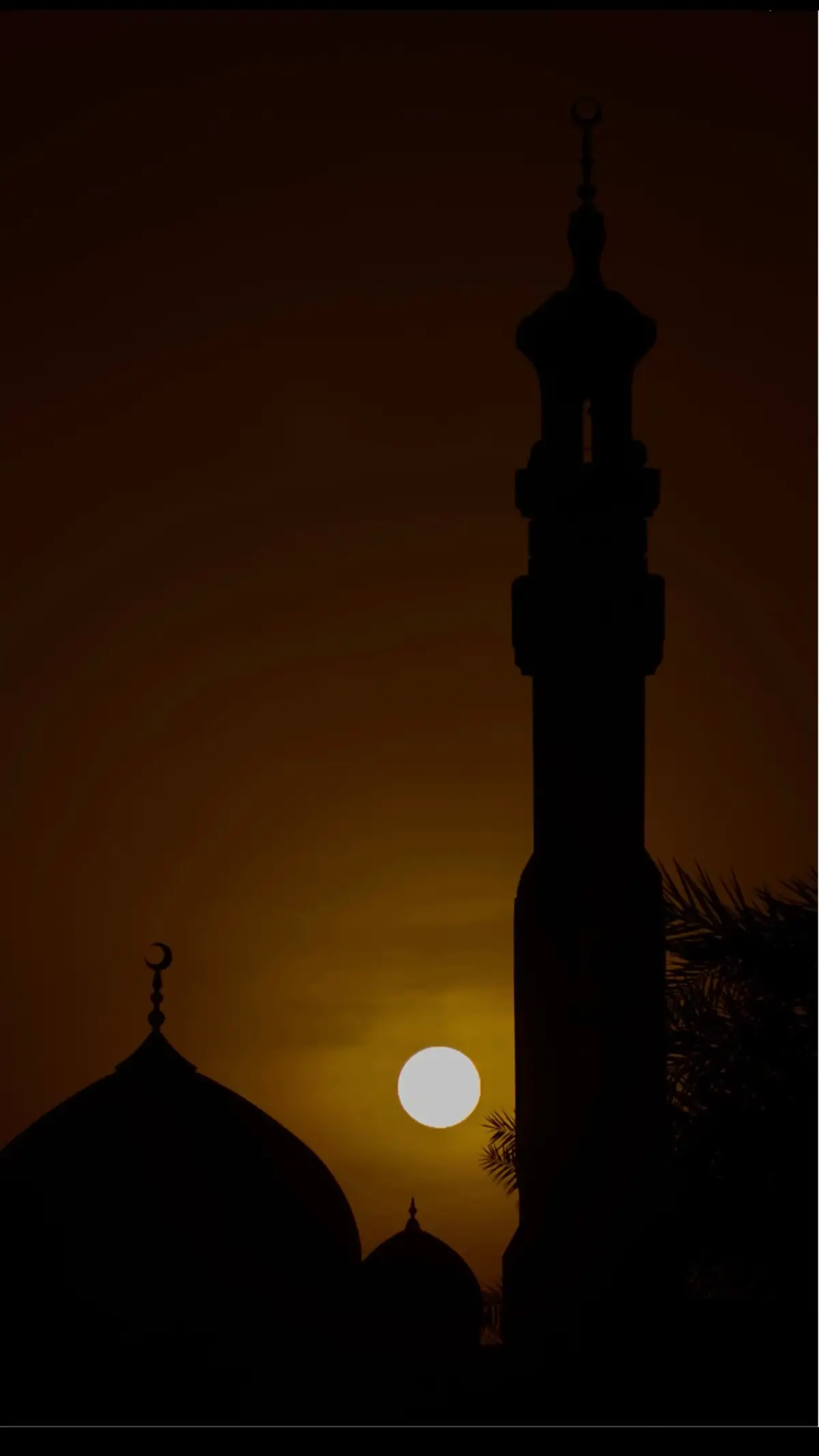 اللهم أرحمنا برحمتك وأعنا على ذكرك وشكرك وحسن عبادتك  #اكسبلور #سبحان_الله #اجر_لي_ولكم #موعظة #اجر_لي_ولكم_ولوالدينا_وللمسلمين 