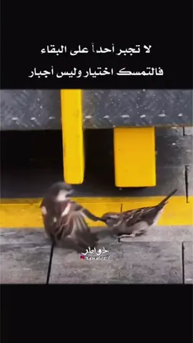 #متابعة #جبراتت📮_fypシ゚viral #حب #اعادة_النشر🔃 #fyp 
