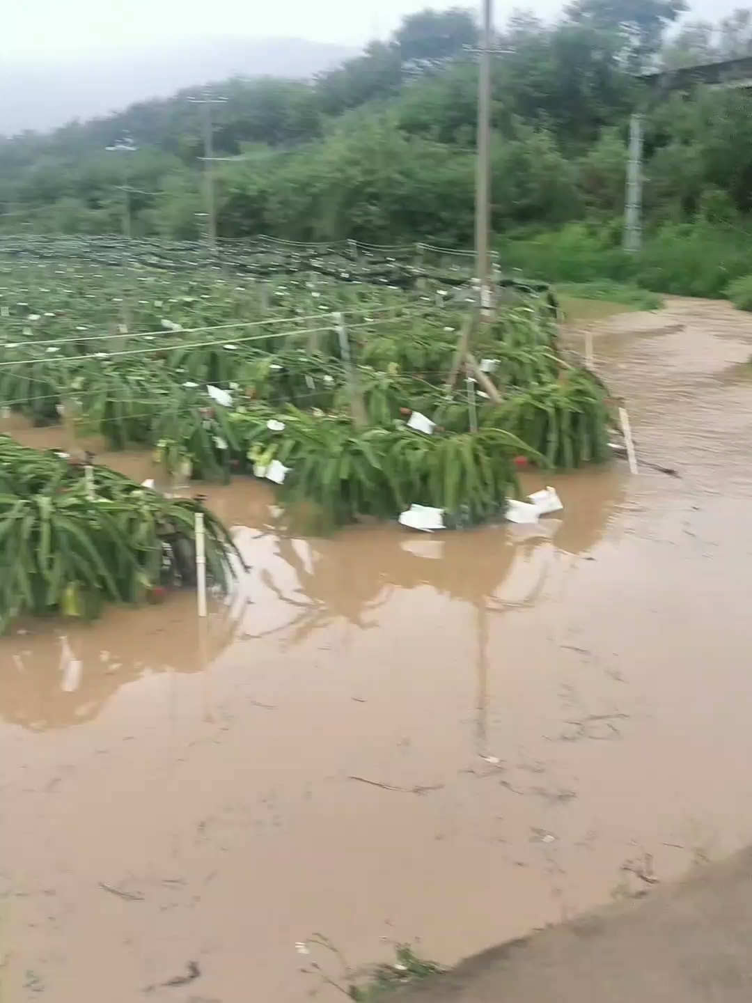 This storm showed no mercy.