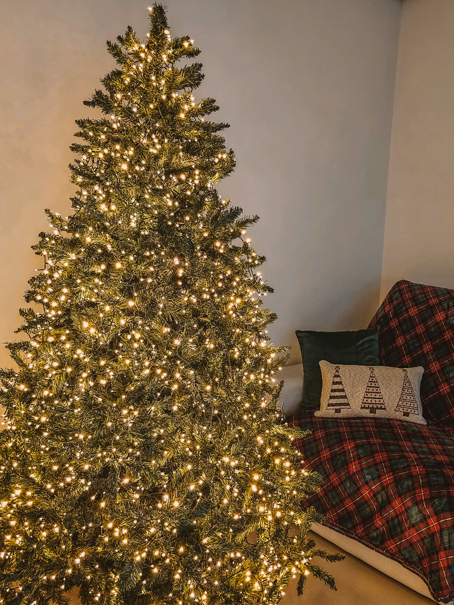 🎄✨ Aos poucos, a casa vai ganhando cor, brilho e aquele cheirinho de Natal. As luzes acende um pedacinho de amor. 💫 É o início da minha época favorita do ano — simples, leve e cheia de magia. ❤️ . . . #natalhome380 #natal #decoracaodenatal #merrychristmas #natal2025 