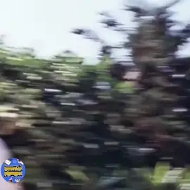 #CreateWithEffects  #هادف 