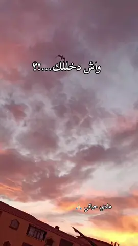 #تلمسانية #الجزائر_تونس_المغرب #شعب_الصيني_ماله_حل😂😂 #❤️‍ 