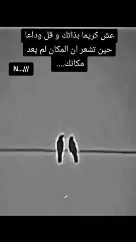 #🥀ندى_العمر🥀 