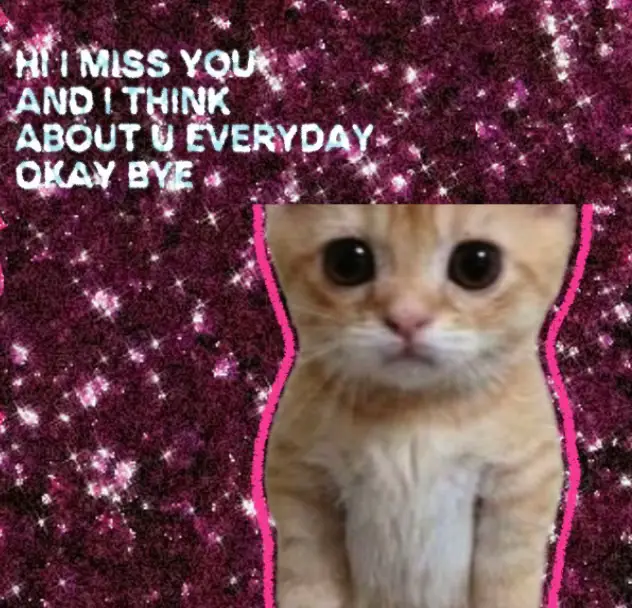 #foryoupage❤️❤️ #fyp #lesbian #wlw #dlaciebie 