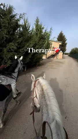 Therapy ❤️‍🩹 #equestrian #fyp #الشعب_الصيني_ماله_حل😂😂 #vetmed #horse 