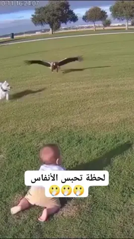 ‏#دويتو مع @ابو موسى 