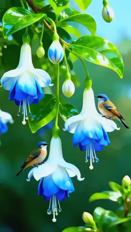 so adorable birds 🐦 #birds #naturelover #scenery #aiart #naturephotography 