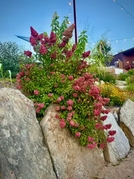 The Hard Truth!! Always a good time! #feralwife #womenover50 #whatalifeilive #hardtruth 