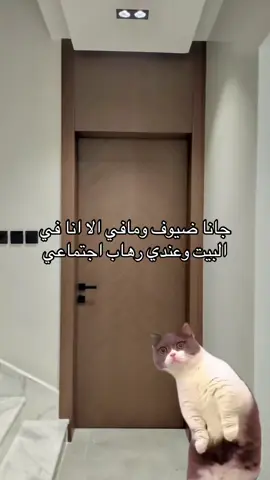 #CapCut #MemeCut #Meme #الرياض #fouryou 