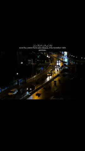 если бы у меня было два сердца, я бы полюбил тебя дважды. #shmrdv #fyp #re 