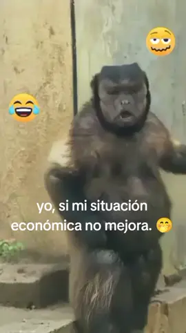 #tiktokviral #fyp 