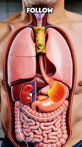 #ConSantanderConecto #anatomy #humanbody #fyp #foryoupage❤️❤️ 