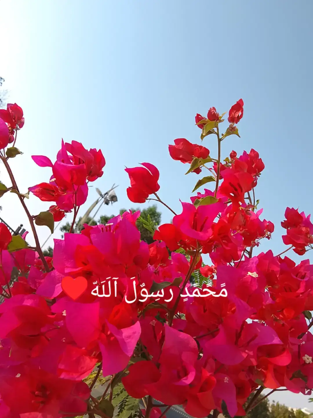 #محمد_رسول_الله #استغفرالله 