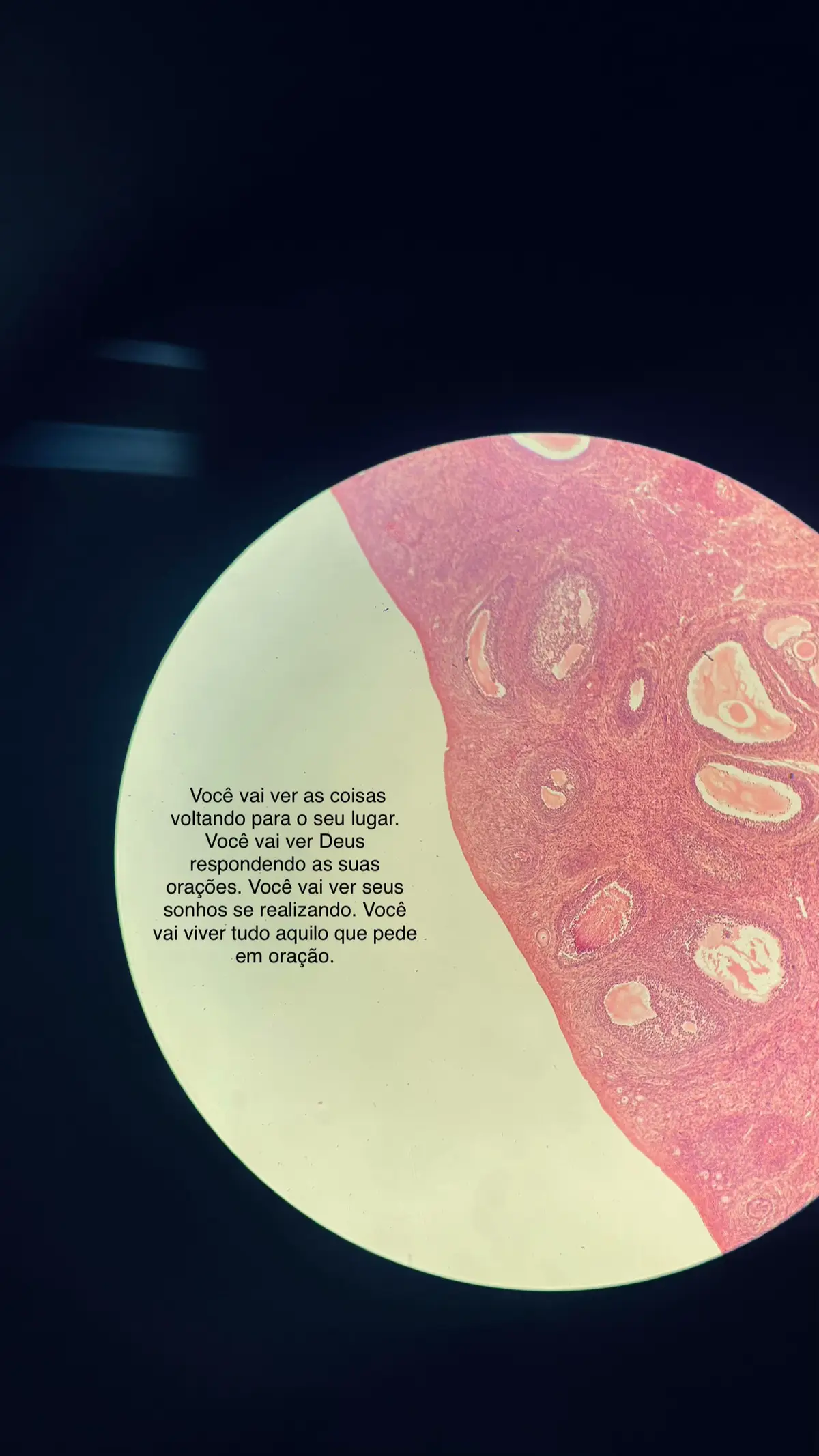 #jesus #Deus #jovenescristianos #fypp 