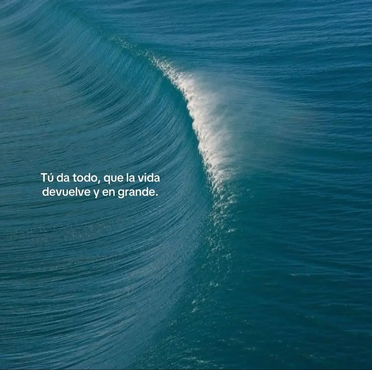 #true #fypシ #parati #foryoupage #fypシ゚viral 