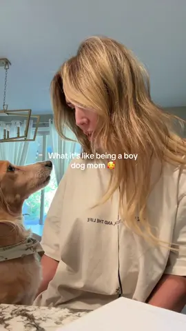He’s obsessed 🥰 #fypシ #over40 #dogmom 